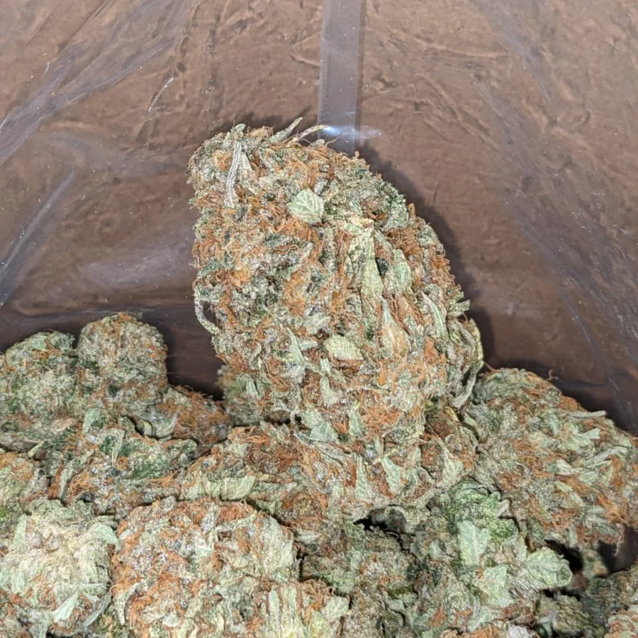 Dank Star - Image 4