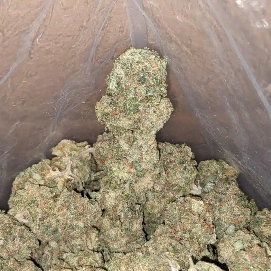 Earth og 1 I Earth OG