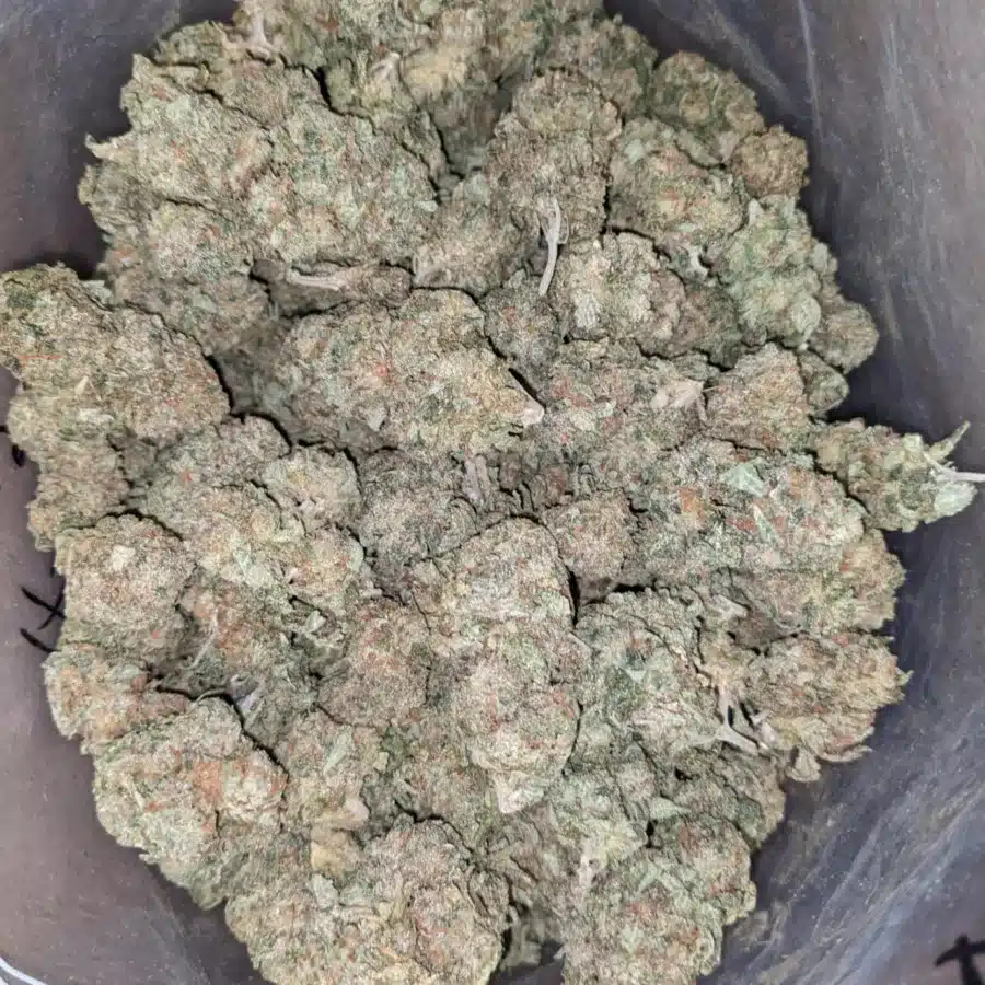 Earth og 2 I Earth OG
