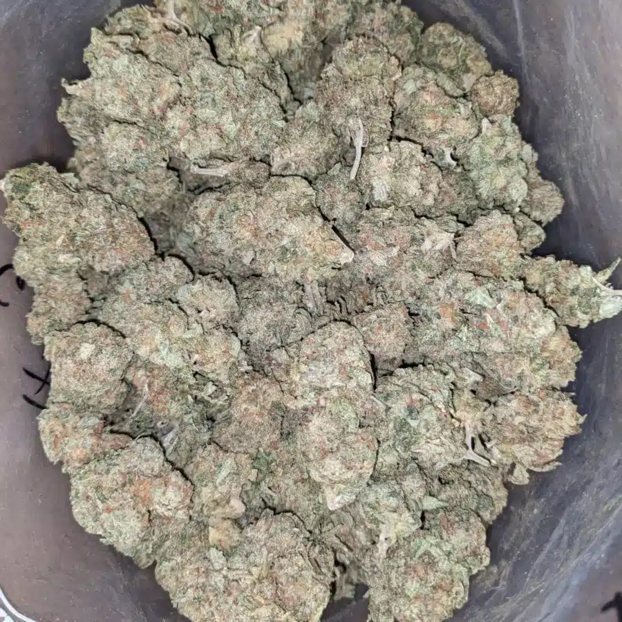 Earth og 3 I Earth OG