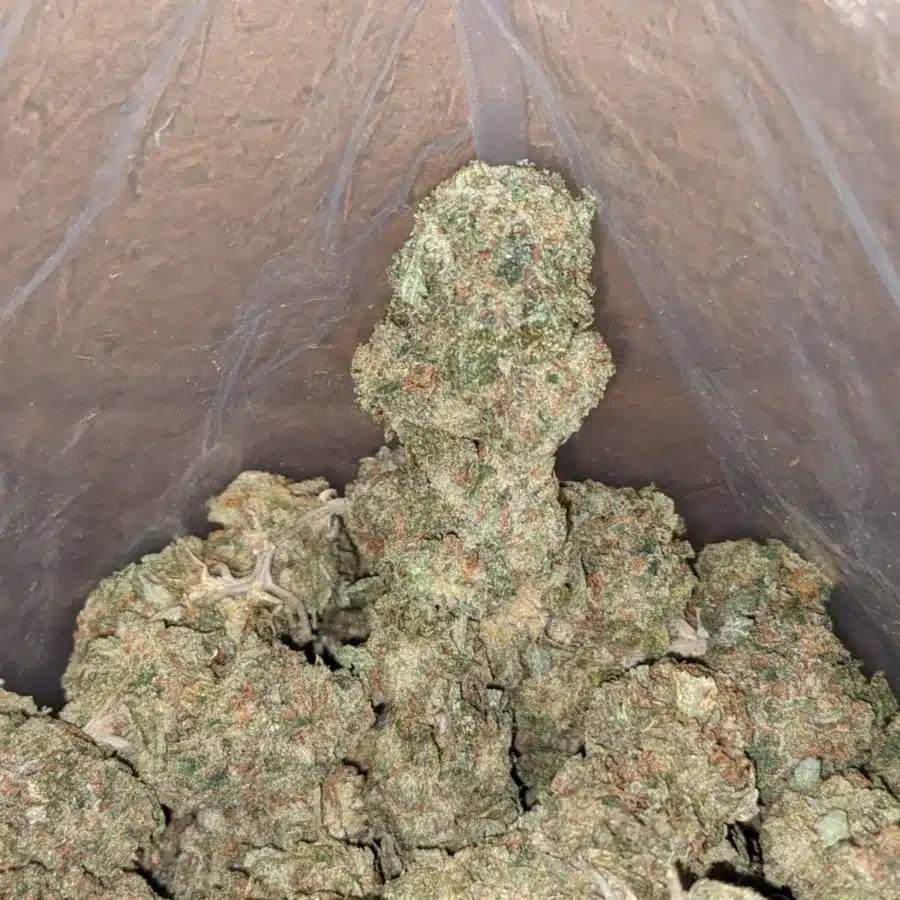 Earth og 4 I Earth OG