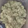 Kali Mist