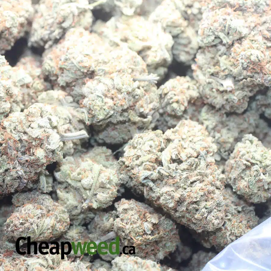 LEMON CRACK 1 I Lemon Crack
