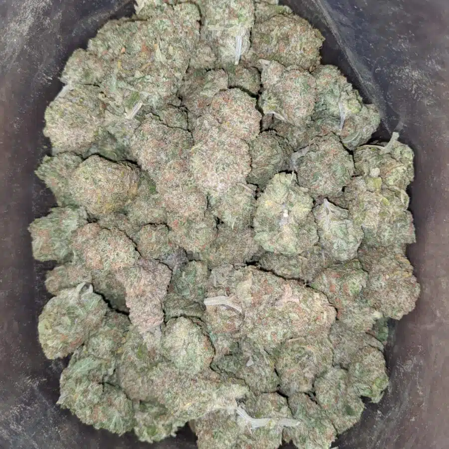 Mango kush 1 I $ 50 Oz - Mango Kush