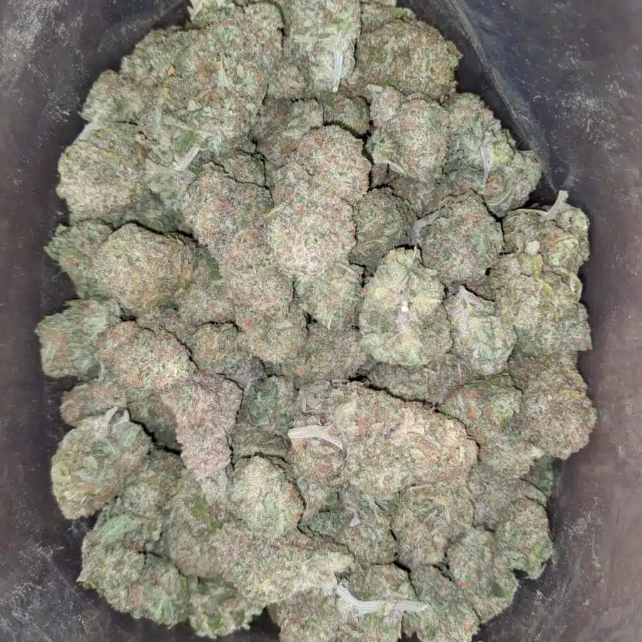 Mango kush 2 I $ 50 Oz - Mango Kush