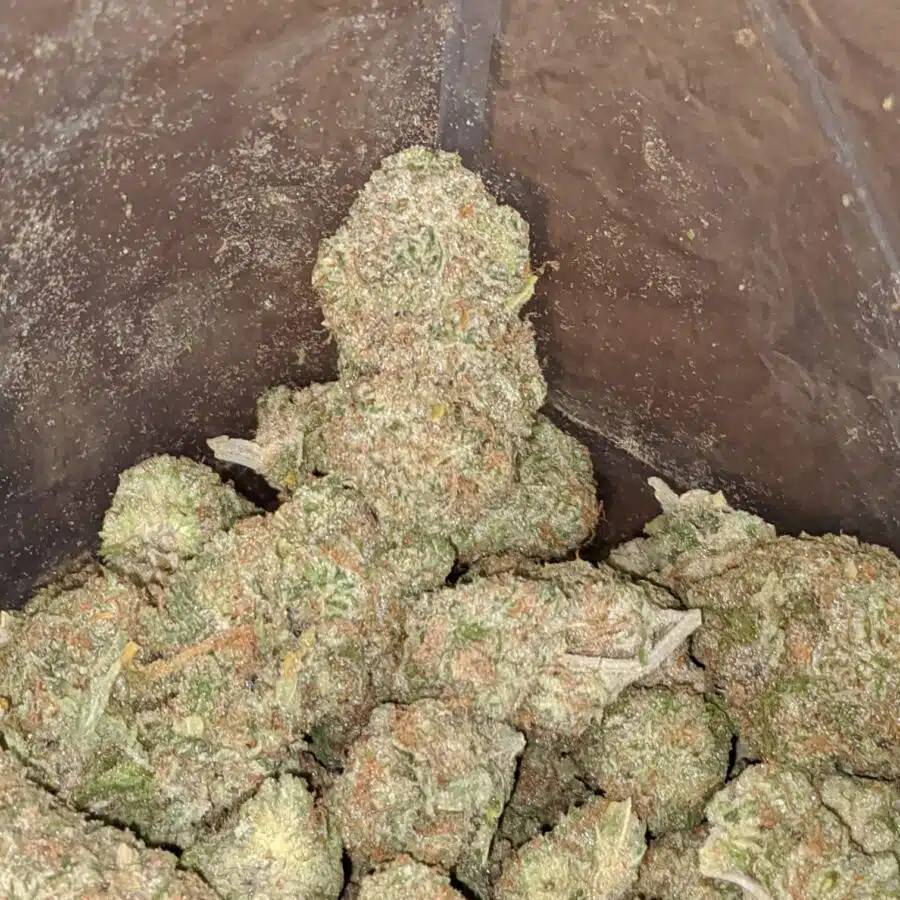 Mango kush 3 I $ 50 Oz - Mango Kush