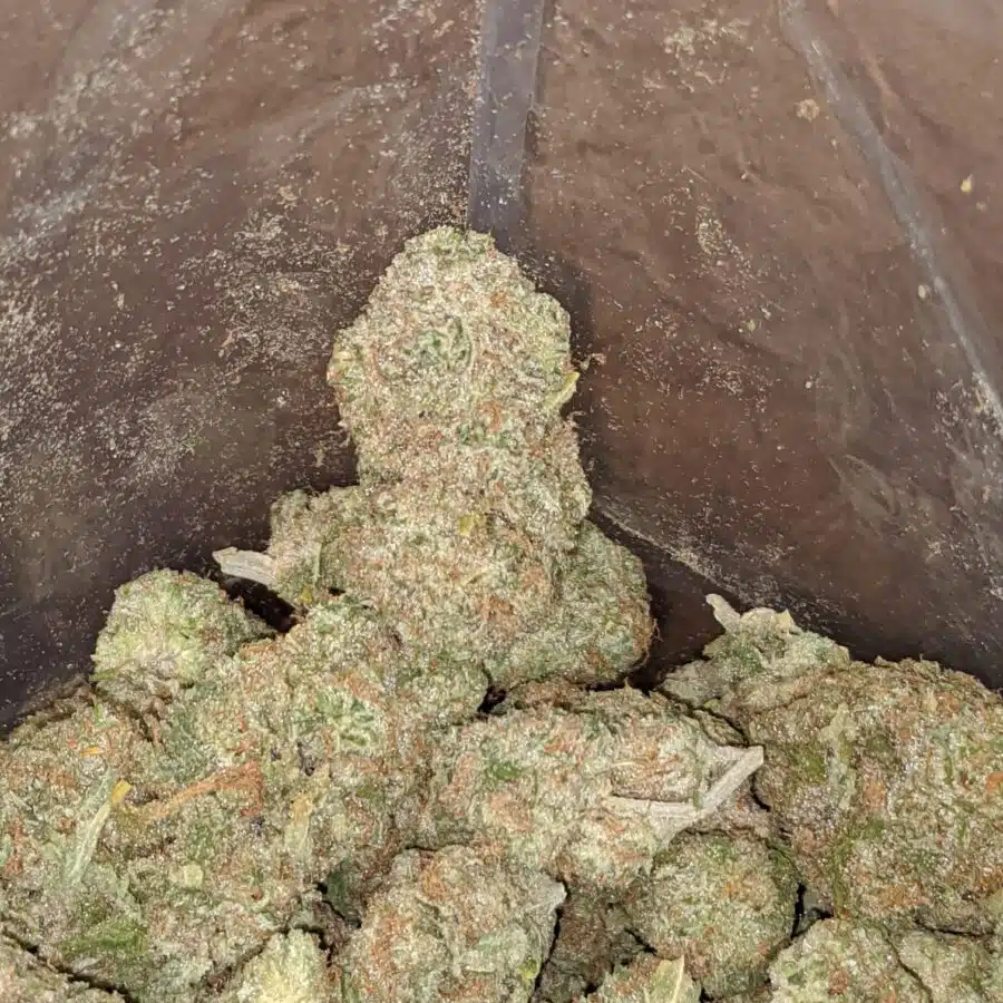 Mango kush 4 I $ 50 Oz - Mango Kush