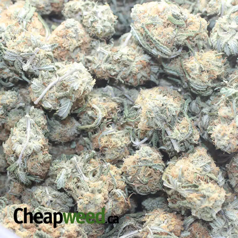 ORANGE WHISKEY 3 I $ 50 Oz - Orange Whisky