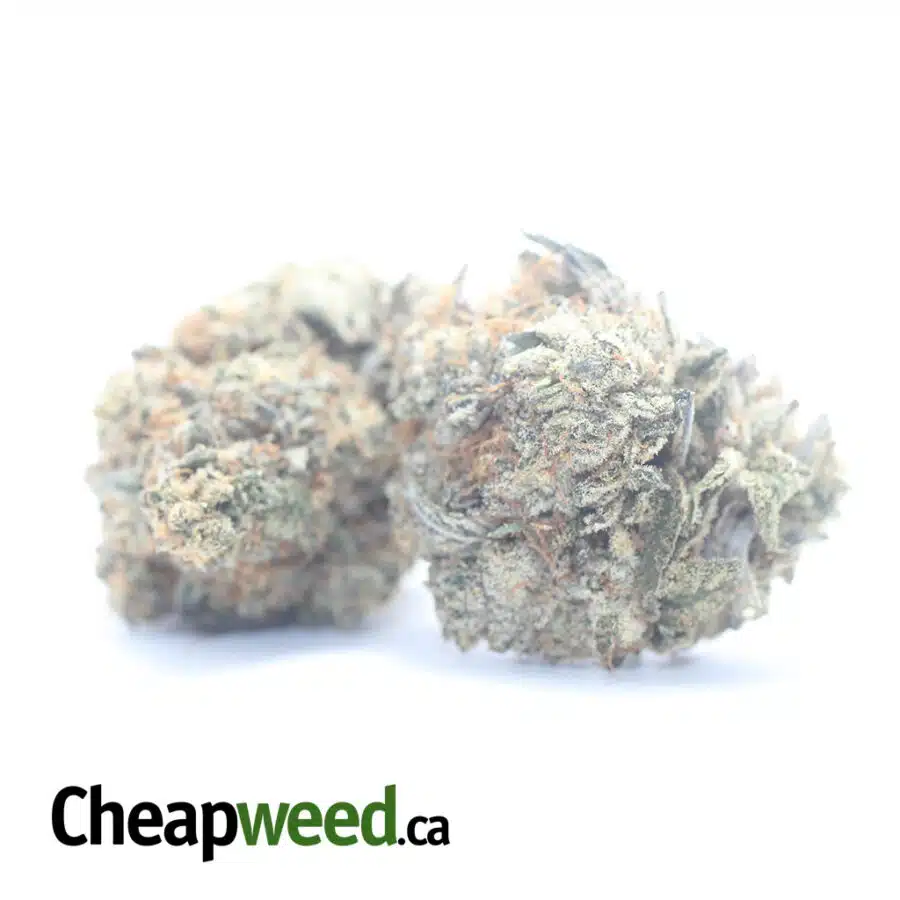 Alternative view of $ 81 Oz - Pink Panties