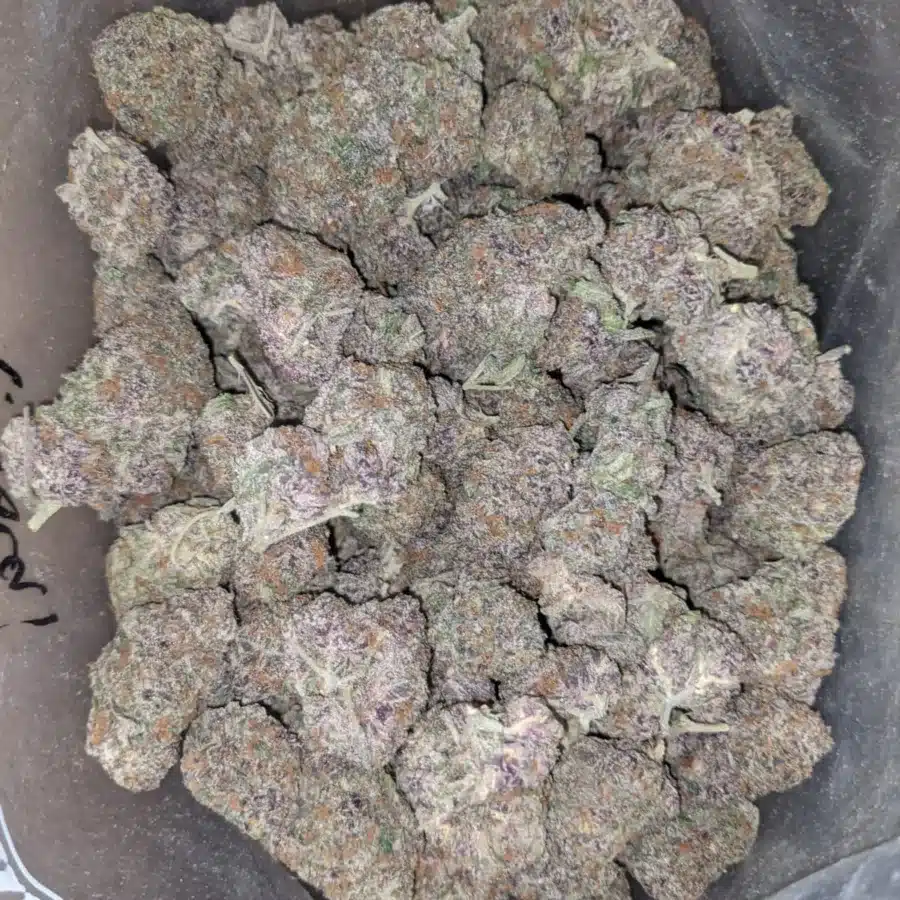 Purple acai 1 1 I Purple Acai