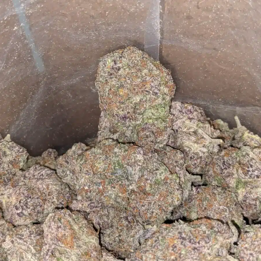 Purple acai 2 1 I Purple Acai