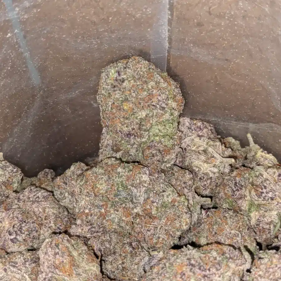 Purple acai 3 1 I Purple Acai