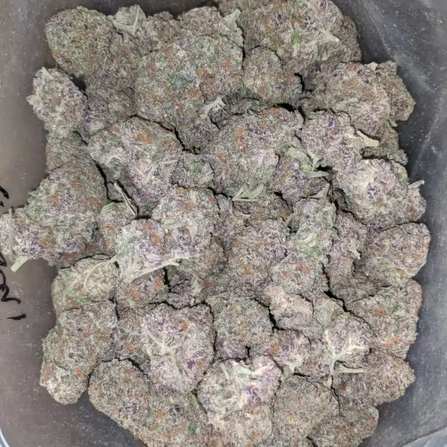 Purple acai 4 1 I Purple Acai