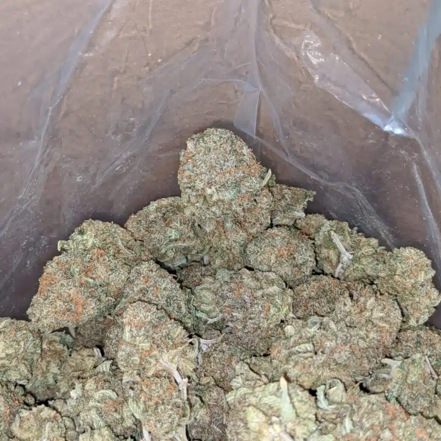 Purple runtz 1 I $ 56 Oz - Purple Runtz