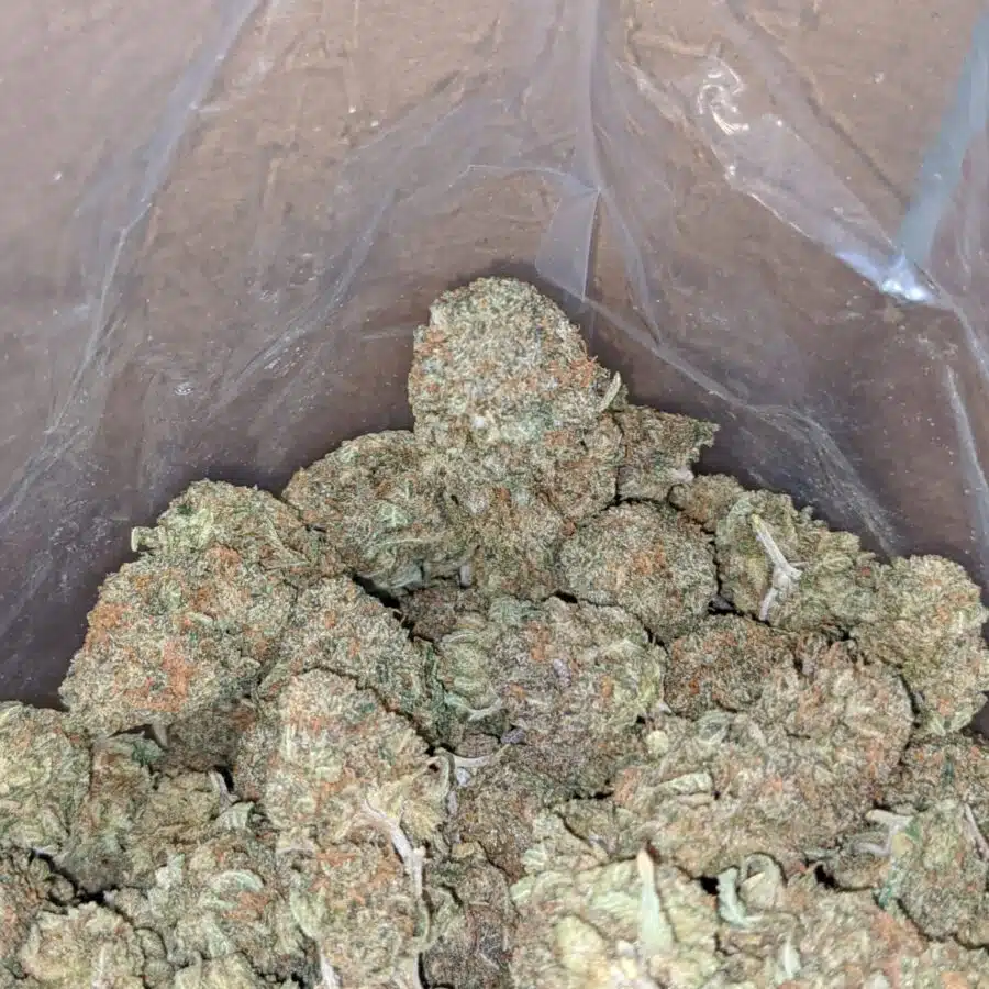 Purple runtz 2 I $ 56 Oz - Purple Runtz