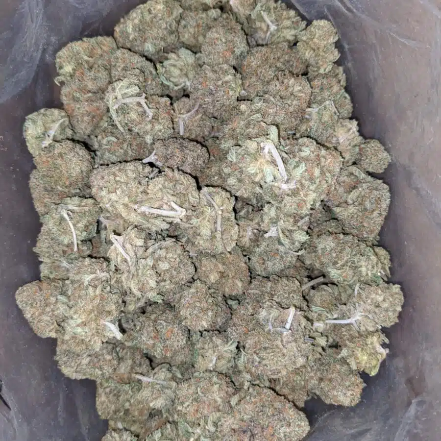 Purple runtz 3 I $ 56 Oz - Purple Runtz