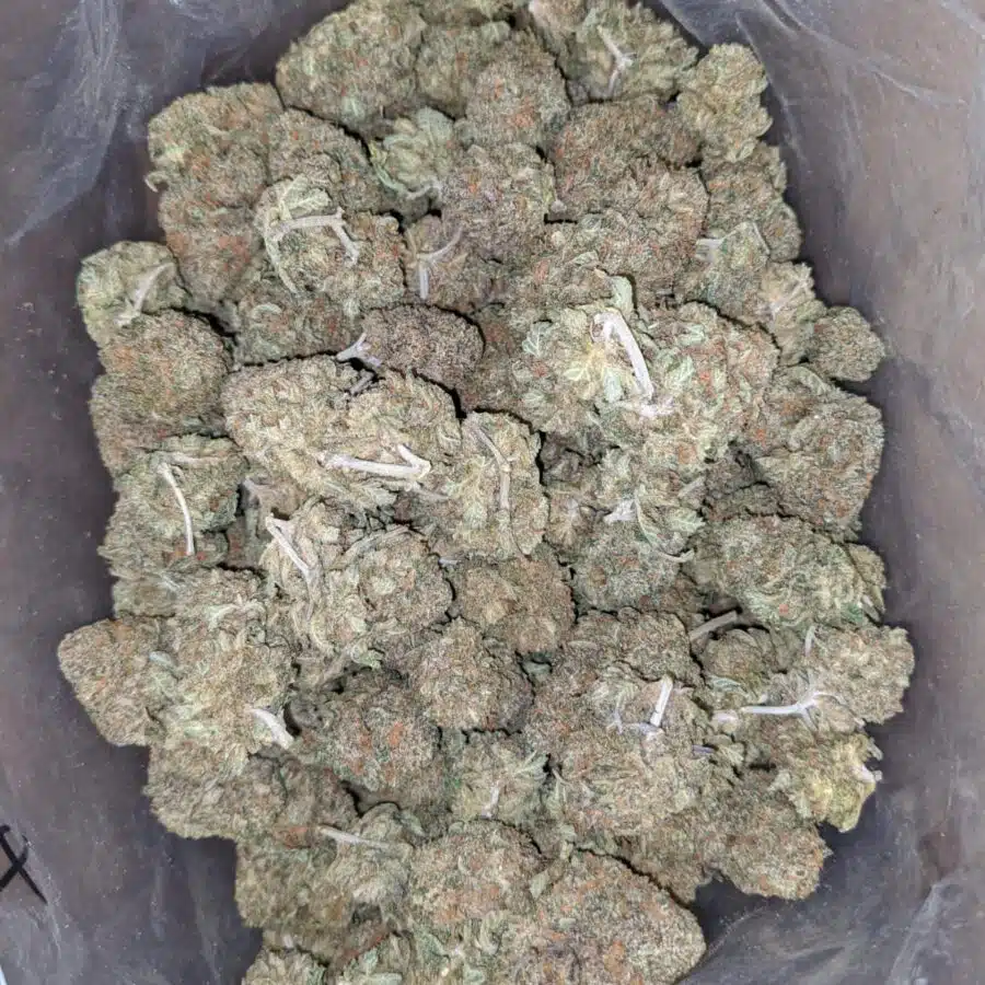 Purple runtz 4 I $ 56 Oz - Purple Runtz