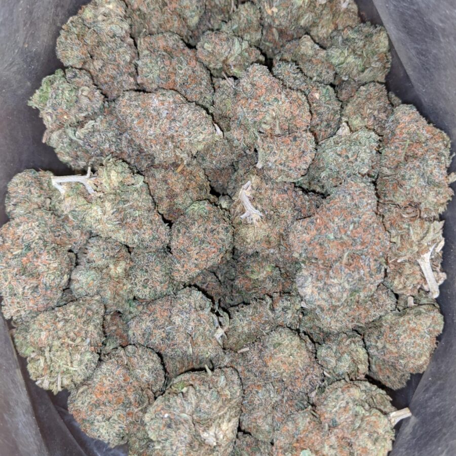 Runtz of 1 I Runtz OG