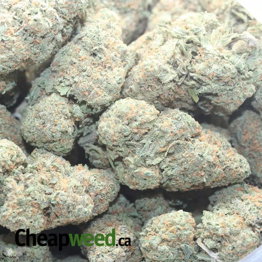 SECRET FORMULA 1 I $ 60 Oz - Secret Formula