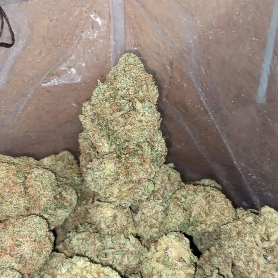 SFV OG Flat Rate 3 I $51oz SFV OG
