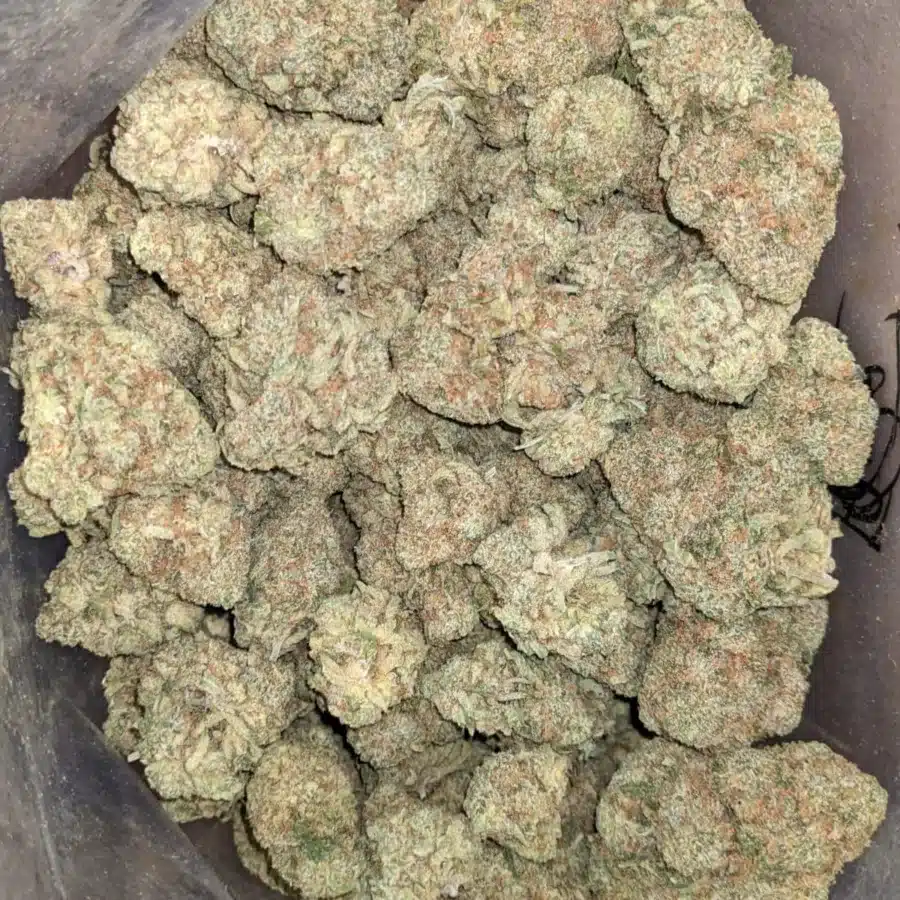 SFV OG Flat Rate 4 I $51oz SFV OG