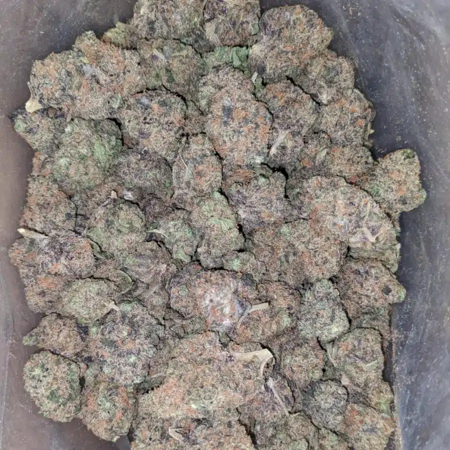 Space skittles 1 I $ 54 Oz - Space Runtz