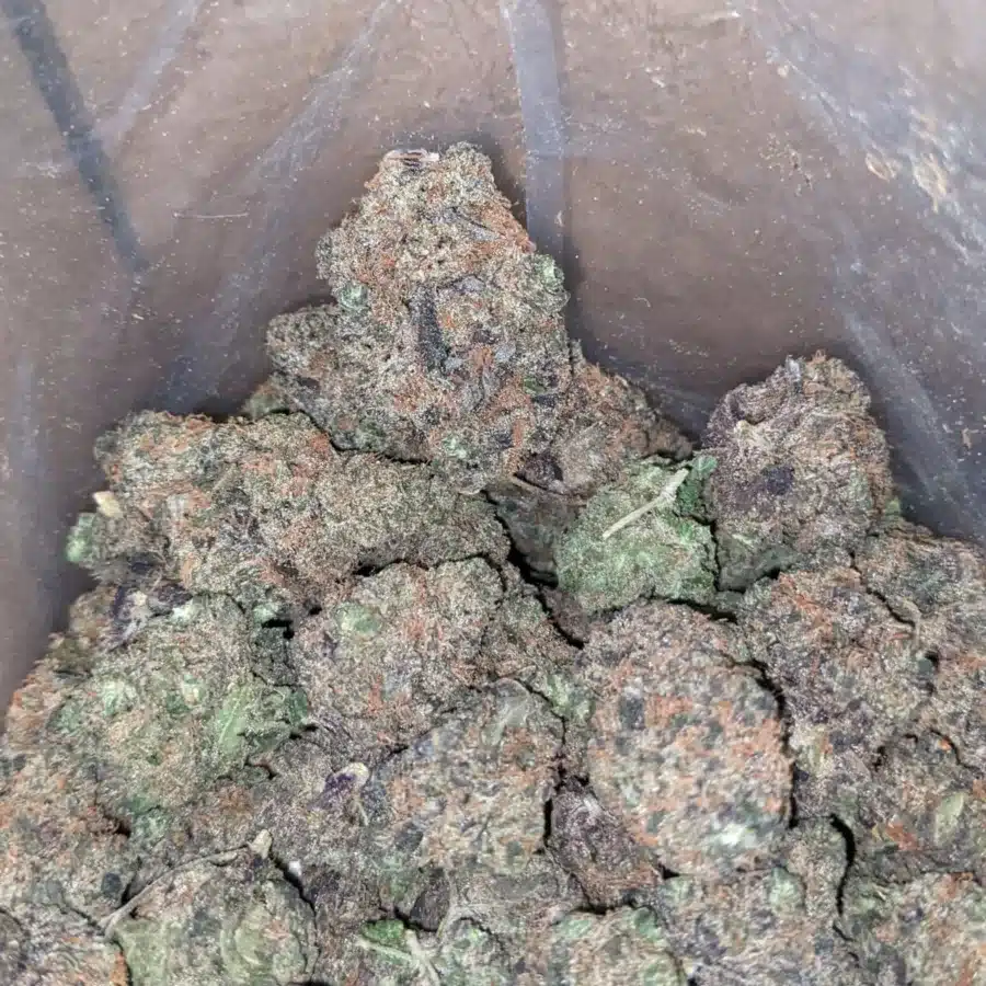 Space skittles 3 I $ 54 Oz - Space Runtz
