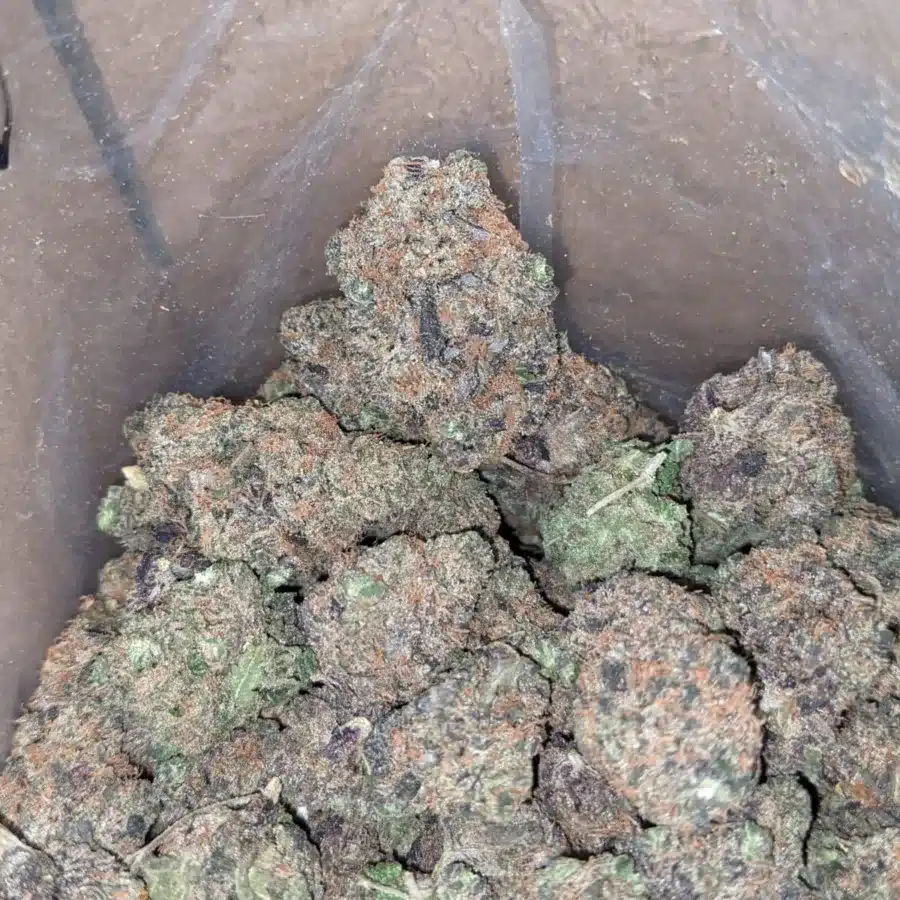 Space skittles 4 I $ 54 Oz - Space Runtz