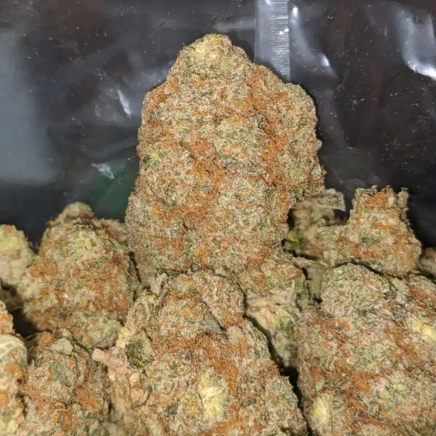 citron 3 I Citron