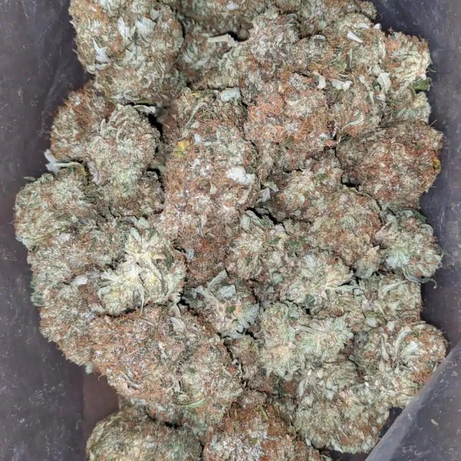 death star 2 I $ 84 Oz - Death Star