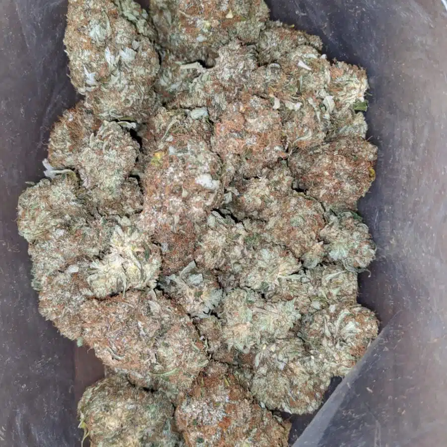 death star 3 I $ 84 Oz - Death Star