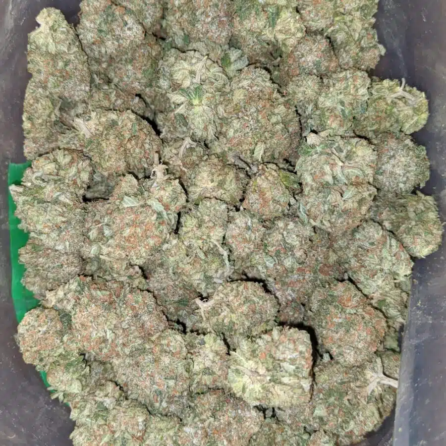 greenfarm tom ford pink 3 I Greenfarm's Tom Ford Pink