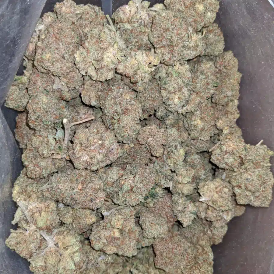 lemon citrus 1 I $ 54 Oz - Lemon Citrus