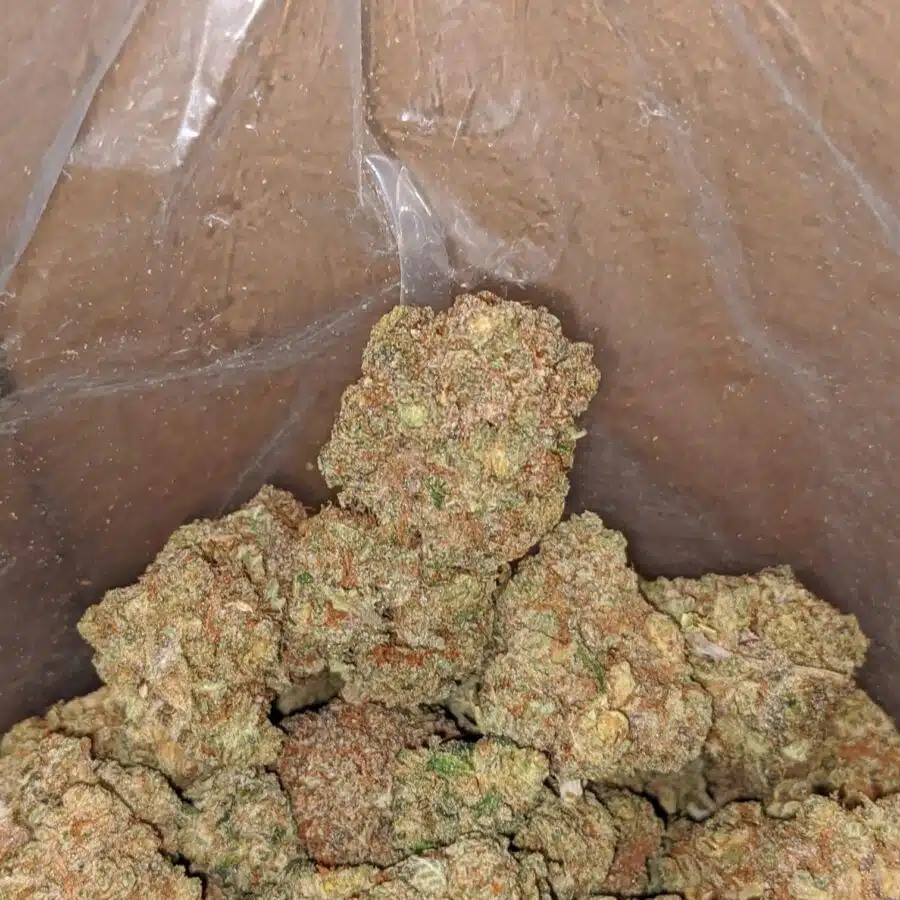 lemon citrus 3 I $ 54 Oz - Lemon Citrus