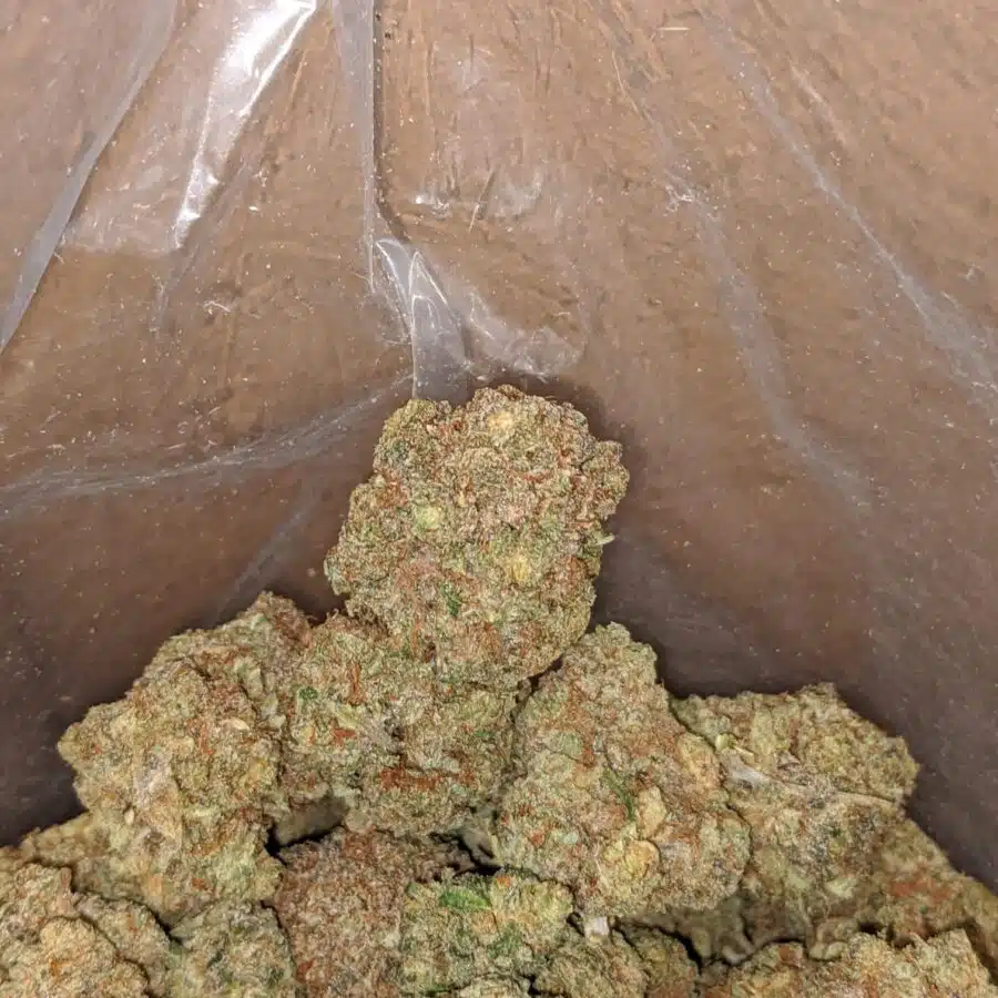 lemon citrus 4 I $ 54 Oz - Lemon Citrus