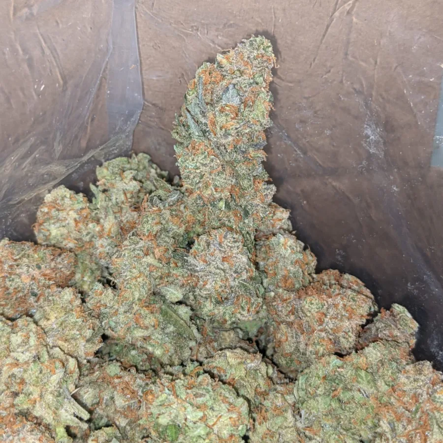 pine ex 3 I Pineapple Express