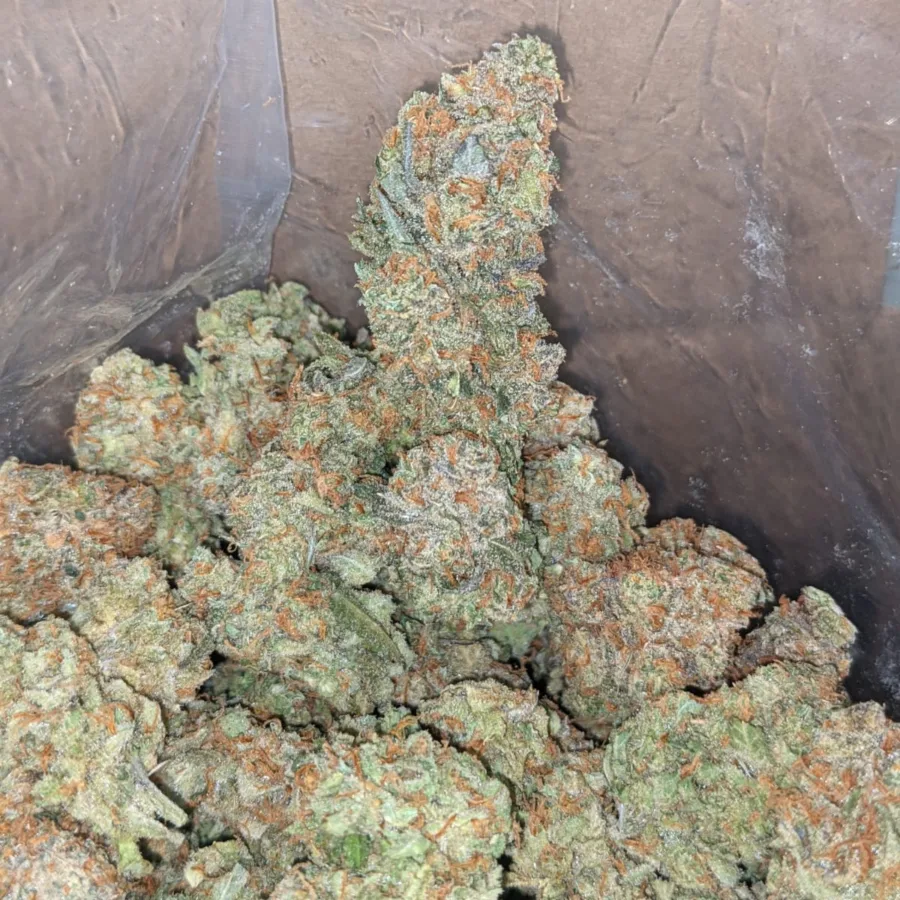 pine ex 4 I Pineapple Express