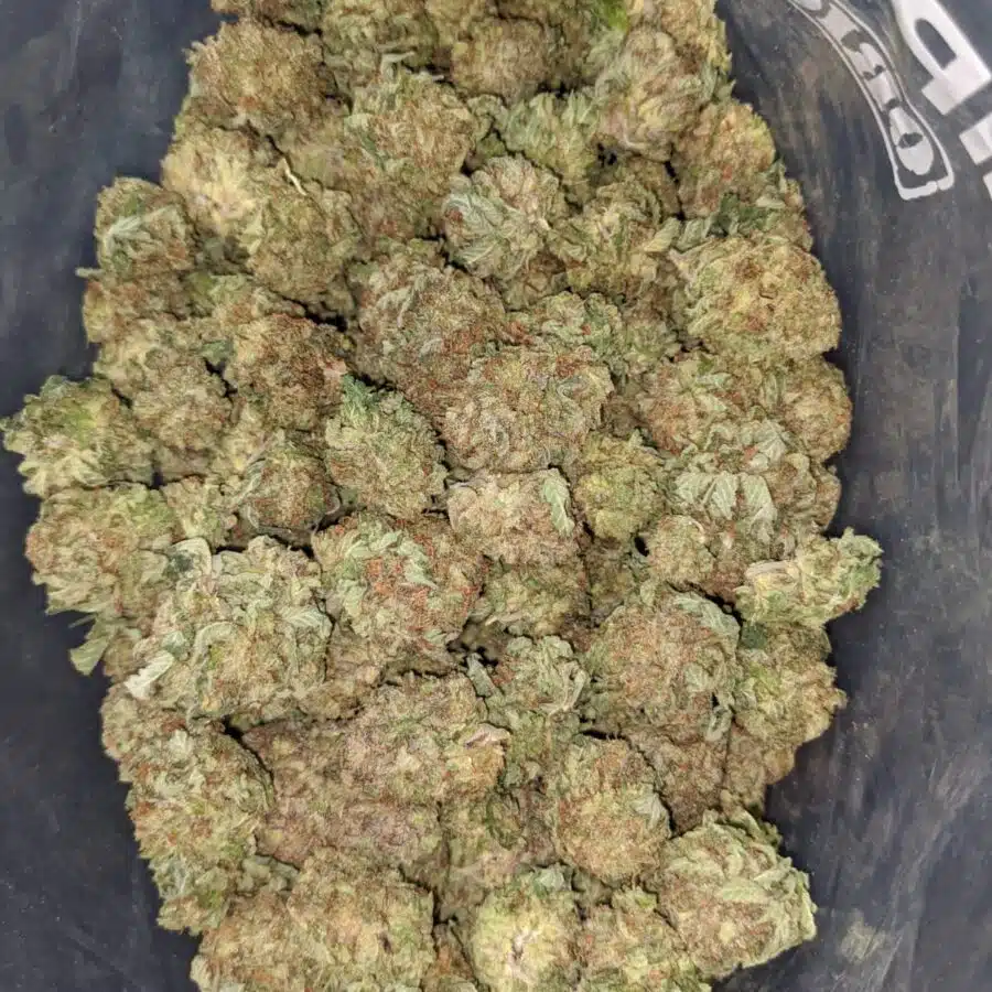 purple diamond 1 I Purple Diamond