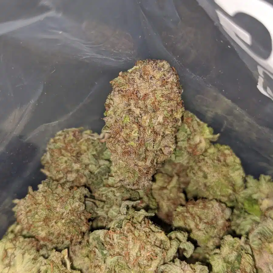 purple diamond 3 I Purple Diamond
