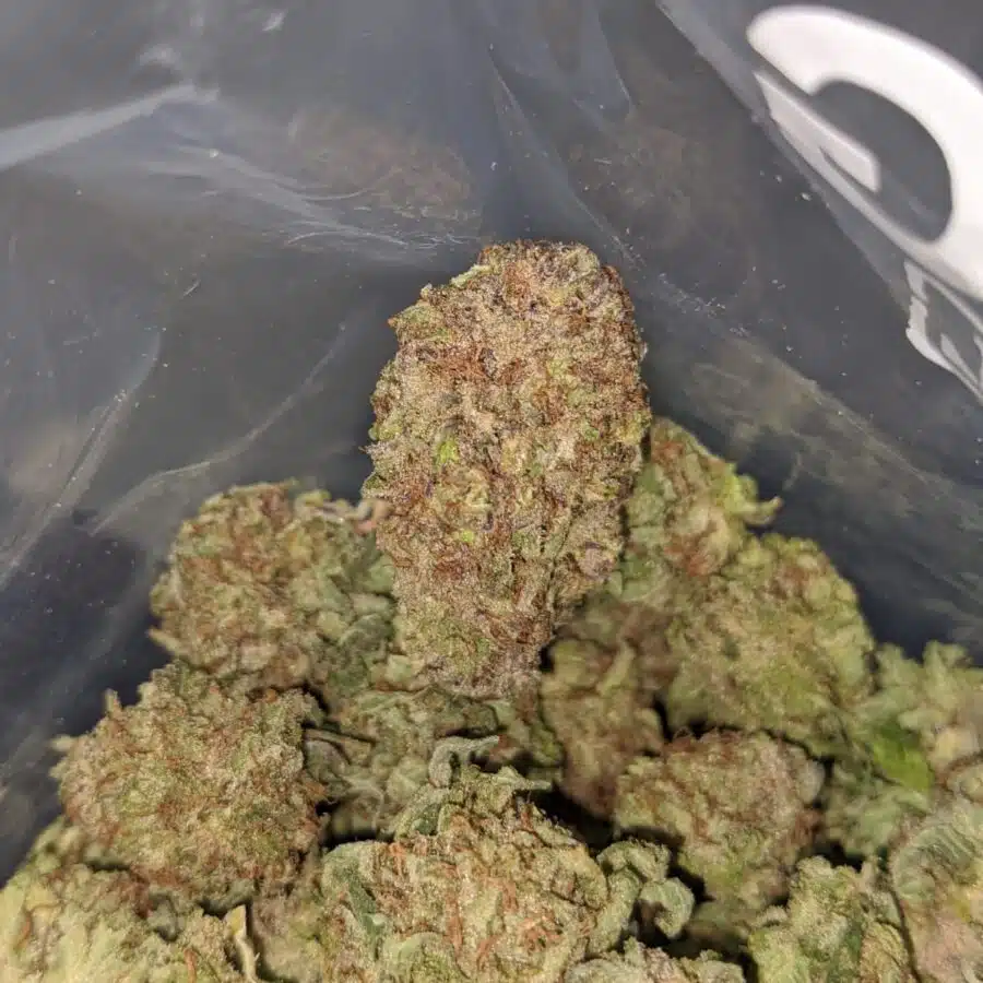 purple diamond 4 I Purple Diamond