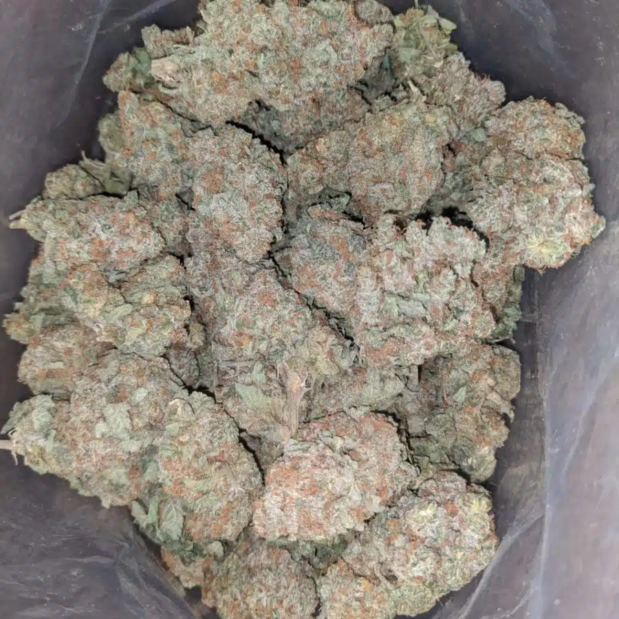raspberry cough 1 I Raspberry Cough