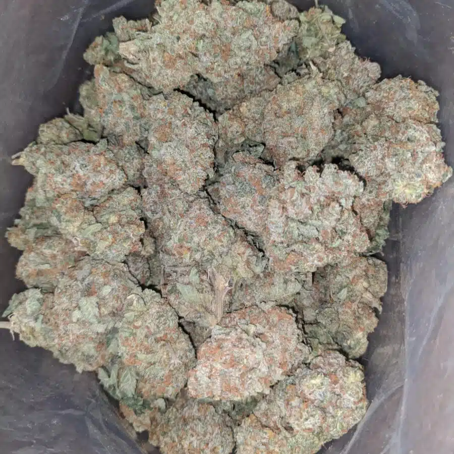 raspberry cough 2 I Raspberry Cough
