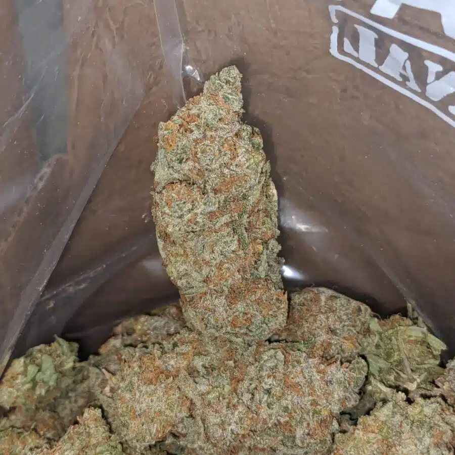 raspberry cough 3 I Raspberry Cough