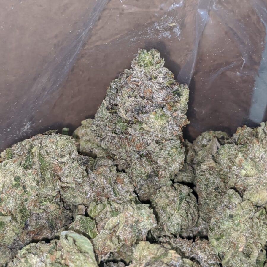 rs tuna aaa 4 I Rockstar Tuna AAA