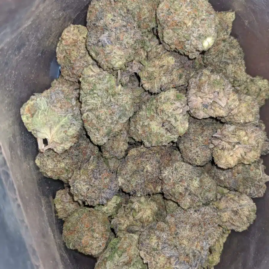 super pink 1 2 rotated I $ 55 Oz - Super Pink