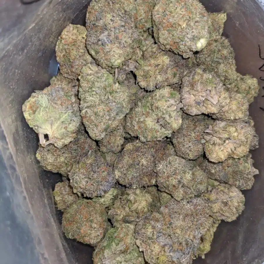 super pink 2 2 rotated I $ 55 Oz - Super Pink