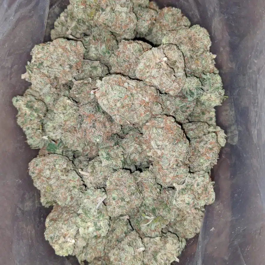 tonys pineapple express 4 I Tony's Pineapple Express
