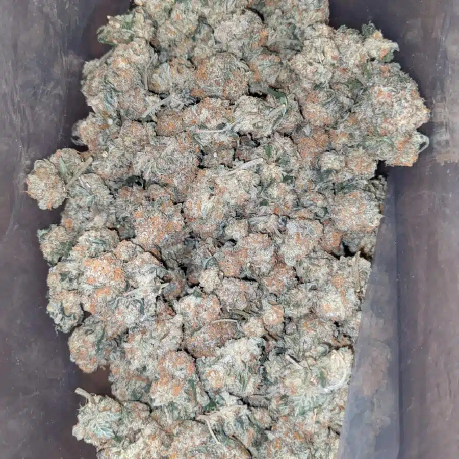 venom og 1 1 I $ 54 Oz - Venom Og