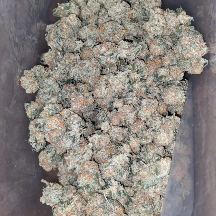 venom og 2 1 I $ 54 Oz - Venom Og
