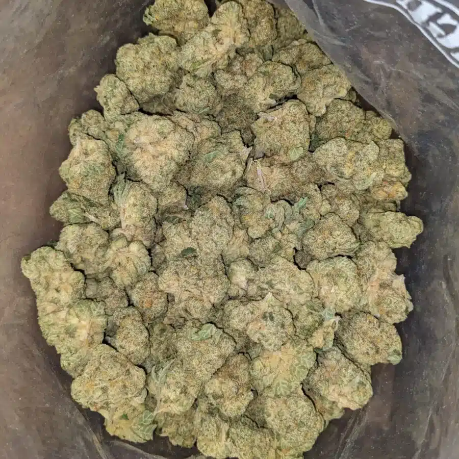 42 Oz White Runtz 1 I $42oz White Runtz